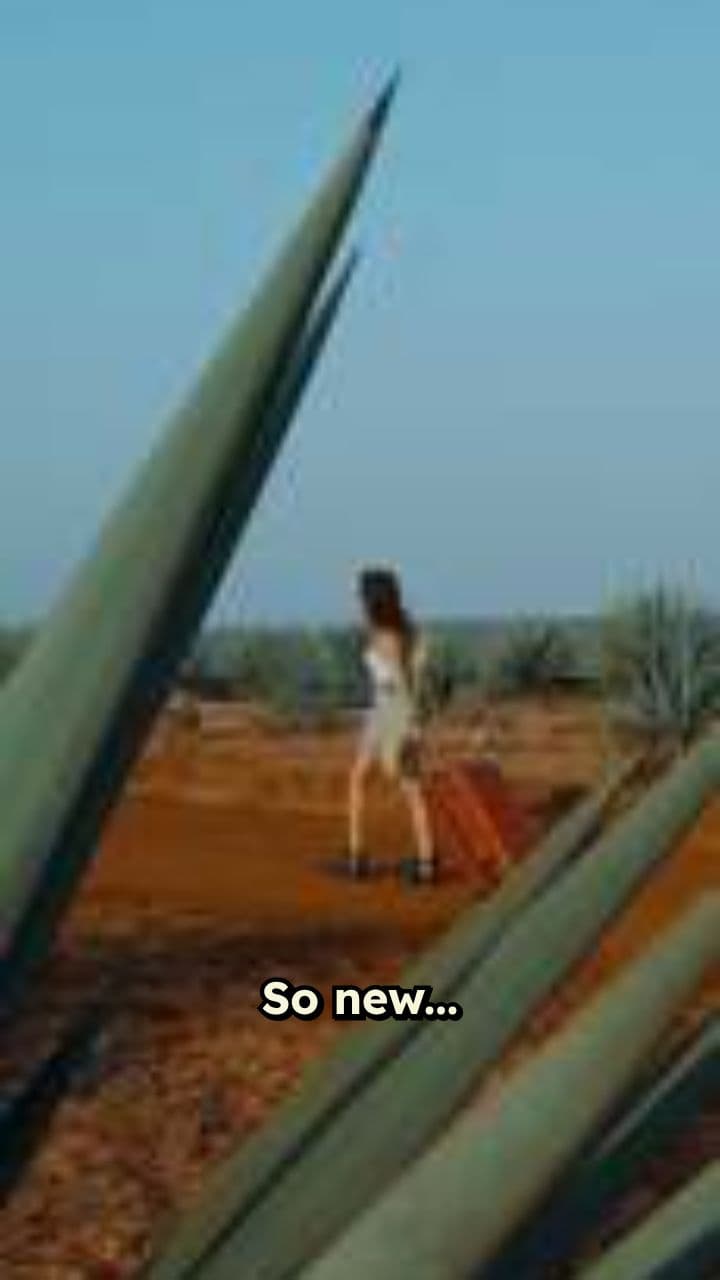 Are You Carrying the Baggage of Yesterday?