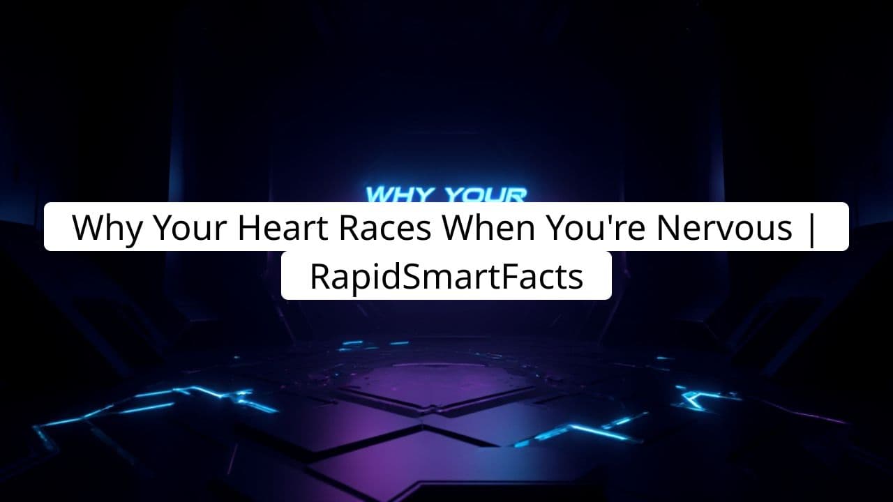 Why Your Heart Races When You’re Nervous | RapidSmartFacts