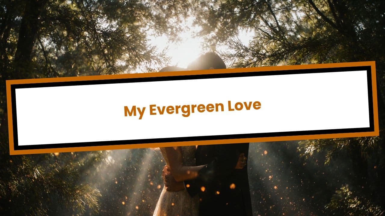 My Evergreen Love