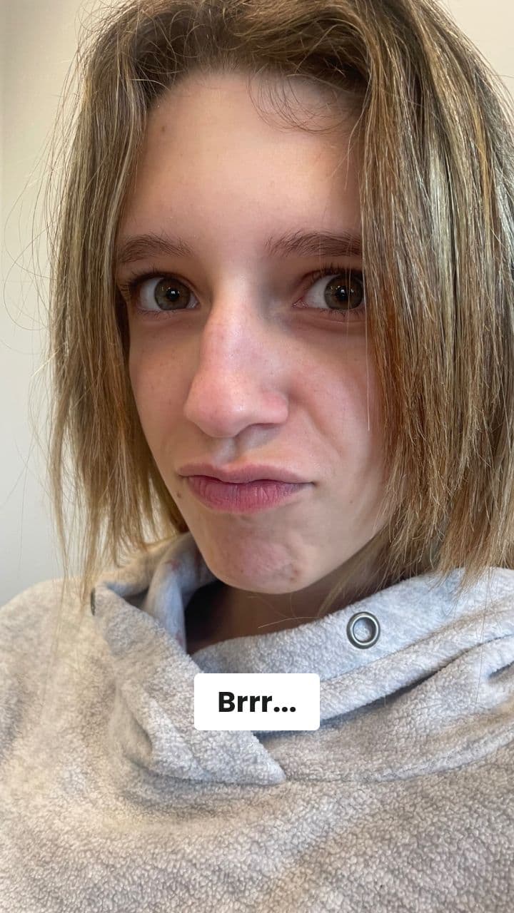 Die Absurden Apfel-Honig-Baum-Bienen des Urwalds