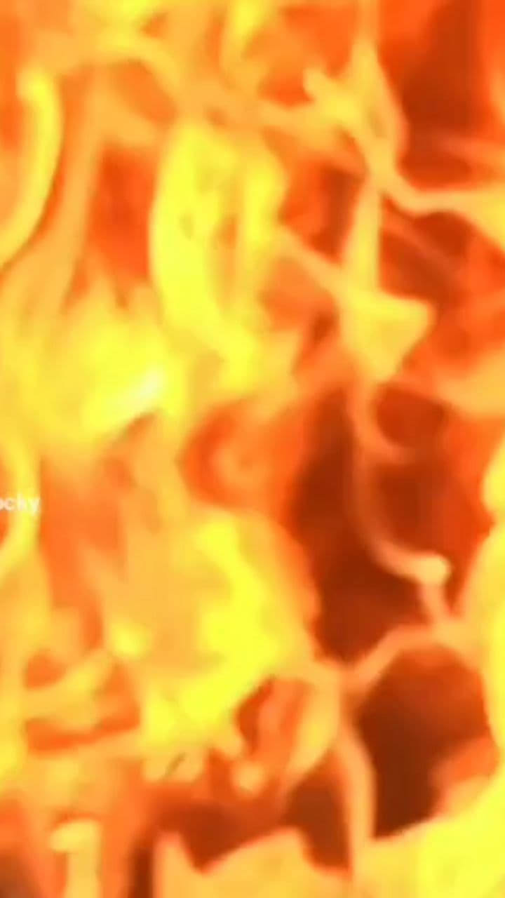 Vogues and Foreigns Rollin'