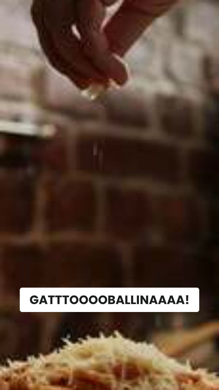 Gattoballina: L'Odissea del Filato