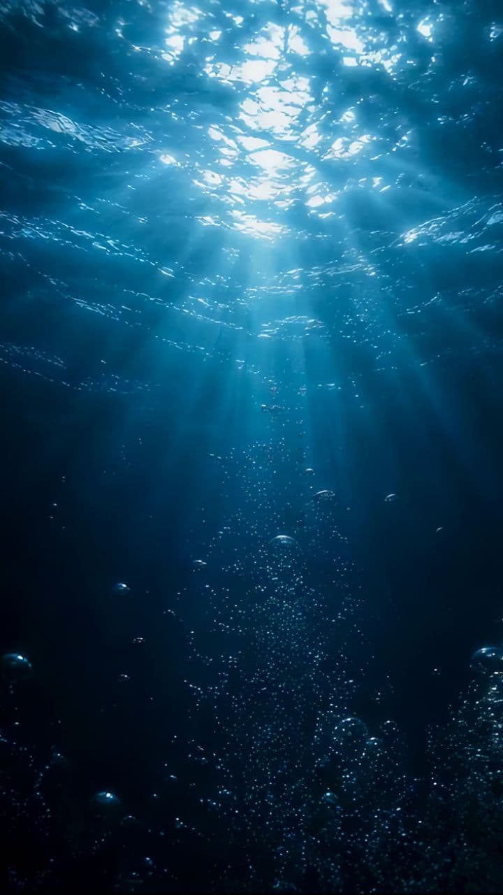 The Monsters We Became