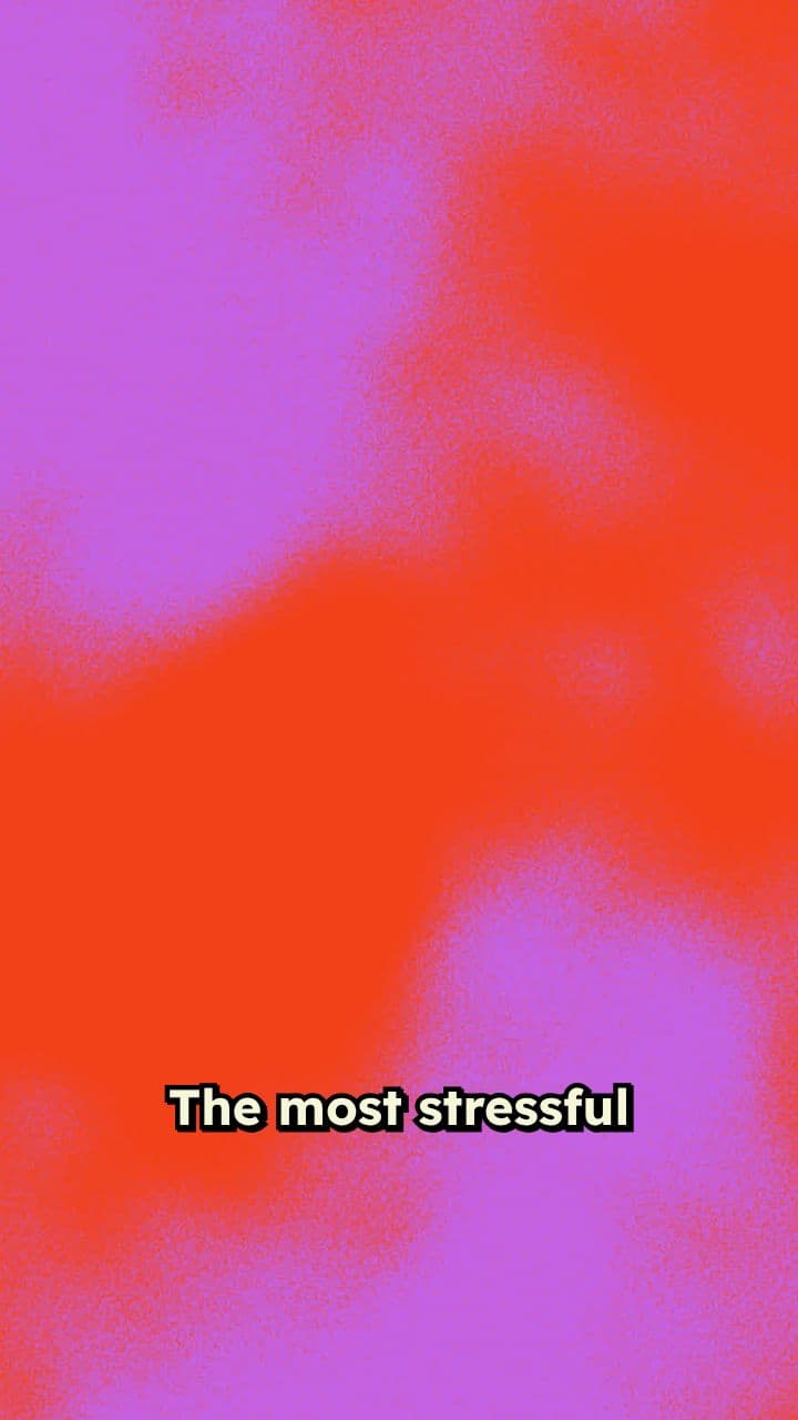 Sunday Roast Service Chaos Anthem