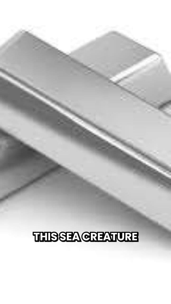 Pistol Shrimp: Nature's Super-Weapon