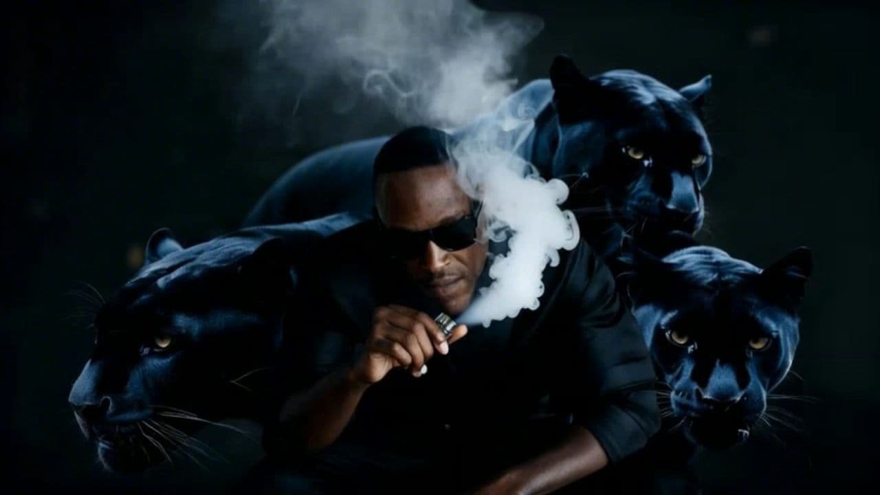 Image transform video