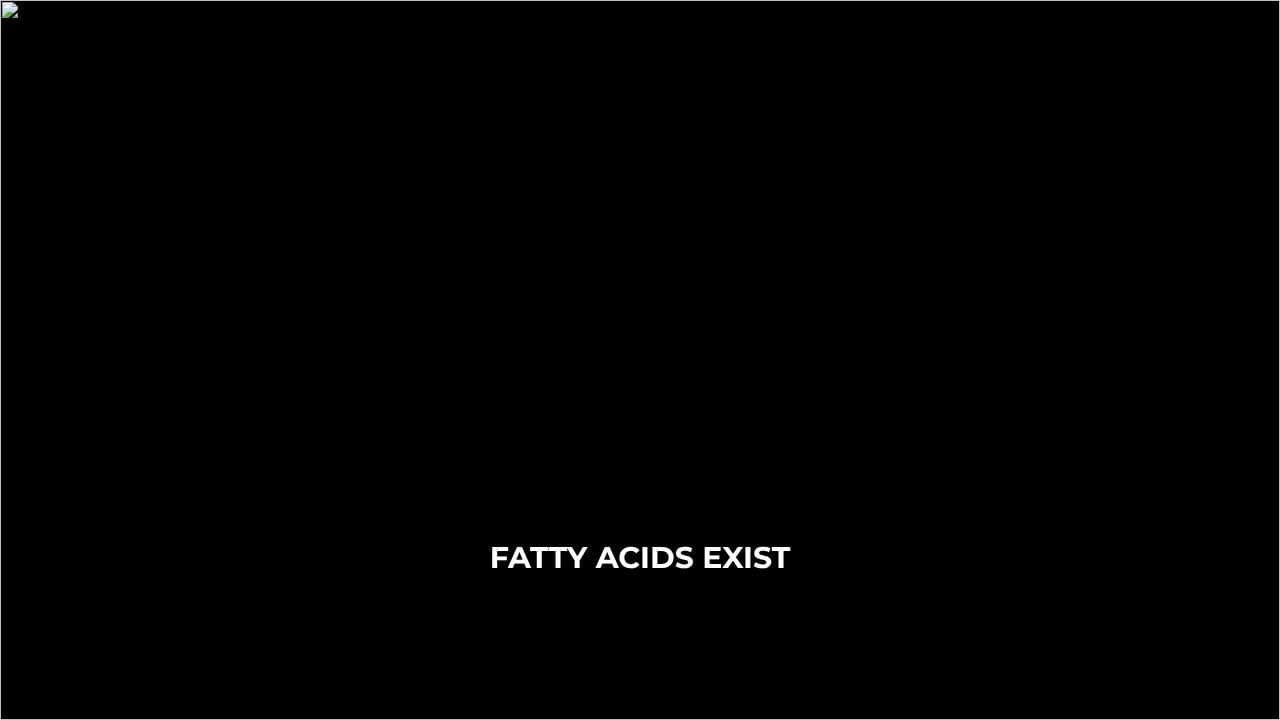 Role of Fatty Acids in the Body
