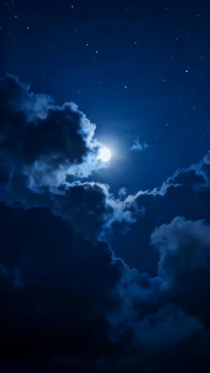 Image transform video