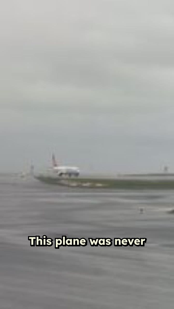 Unbelievable Survival: A Plane's Desperate Landing