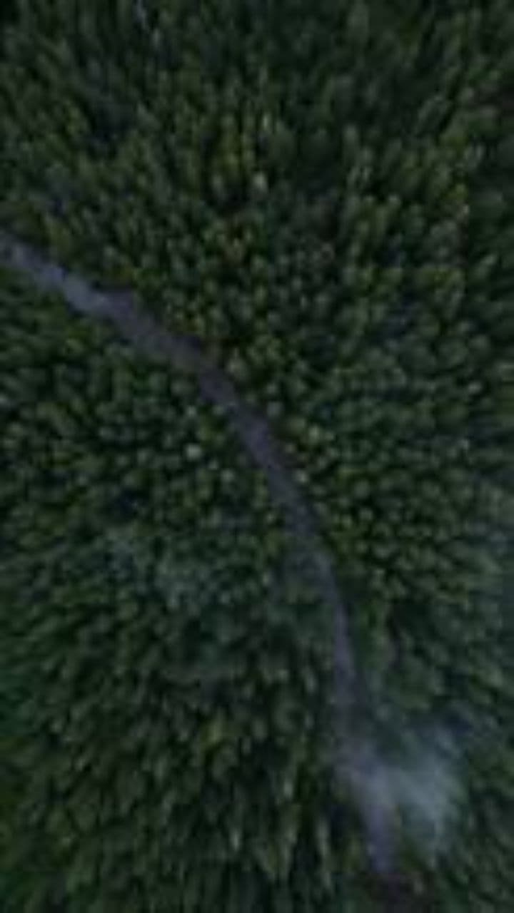 Huyền Môn Giữa Cõi Trần