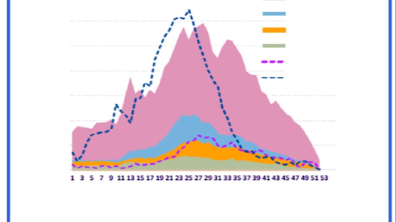 Manejo de infecciones respiratorias en menores de 2 años