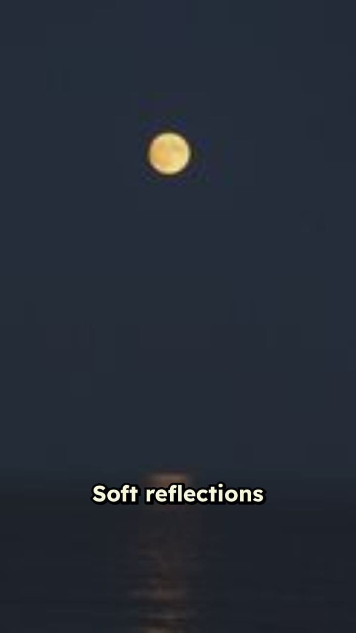 Celestial Reflections of a Persian Sage