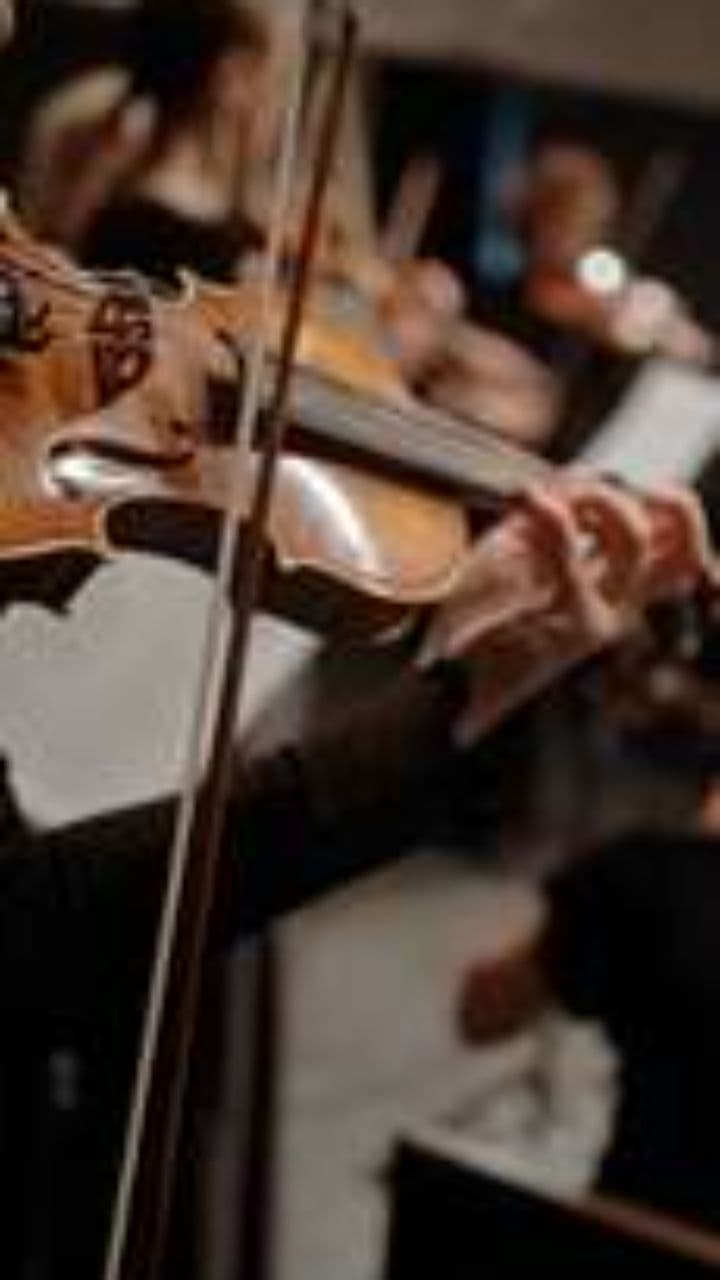 Vur Bağlamayı Bayramlık Taşlama