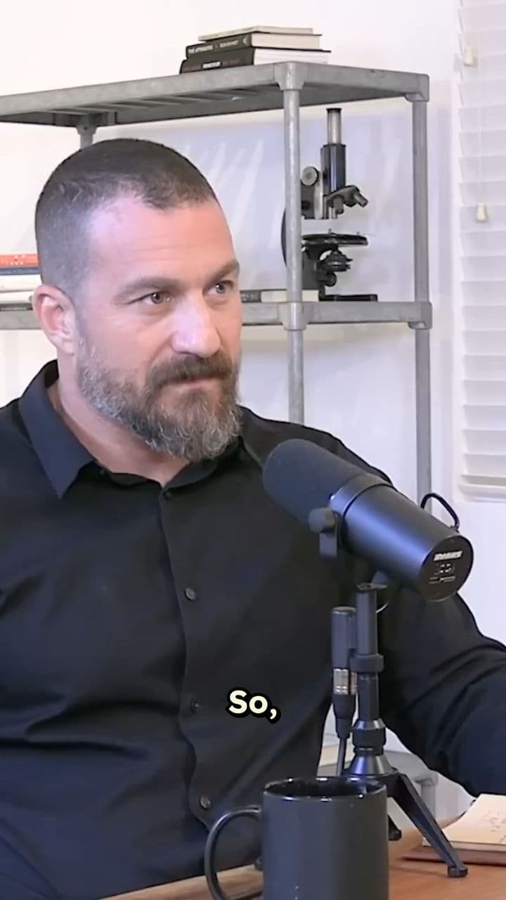 How Scientists Taught Mice to 'Meditate' and Reduced Their Fear