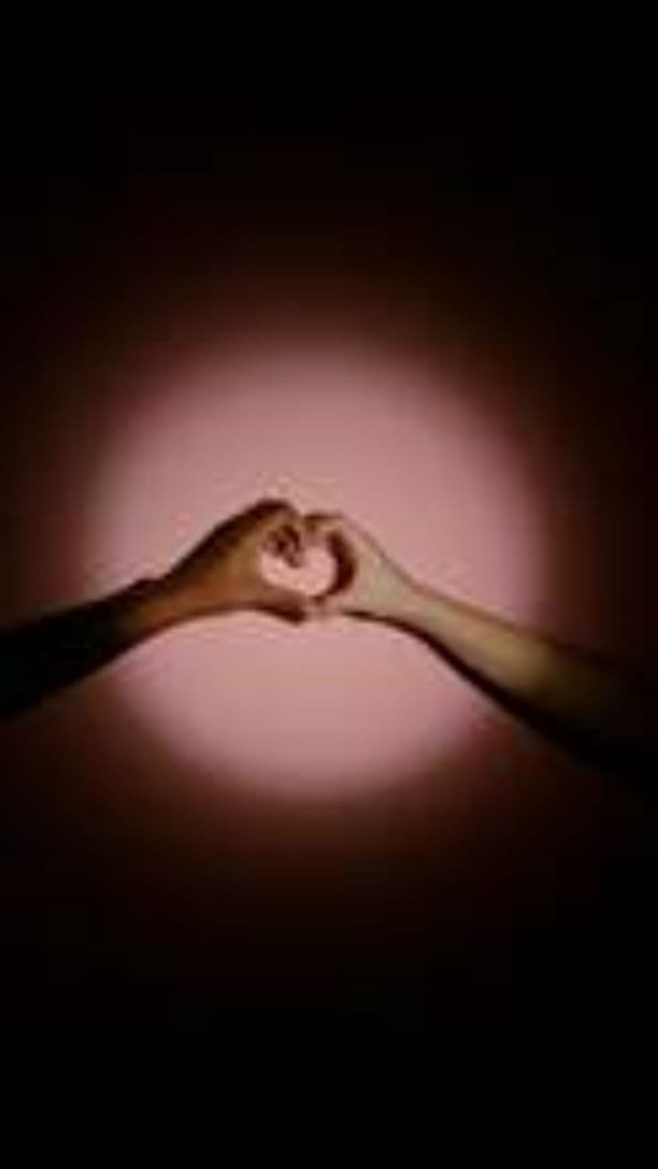 True Love and Loyalty