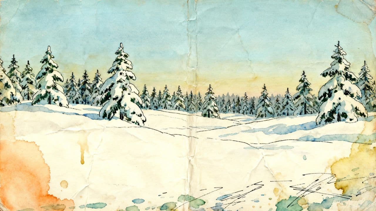 A Magical Christmas Tree Adventure