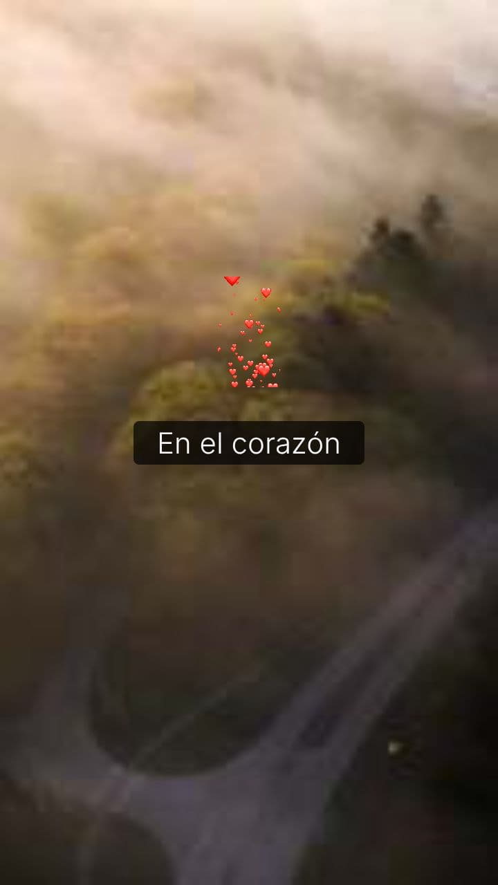 Invitación de Cumpleaños Crepúsculo para Laury