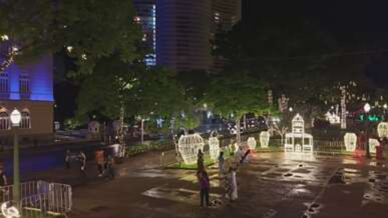 City Lights and New Year Cheers