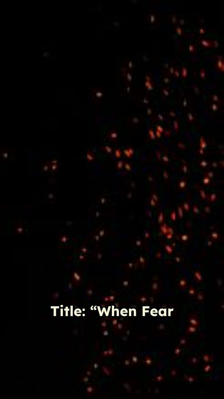 Fear and Fury: The Encounter