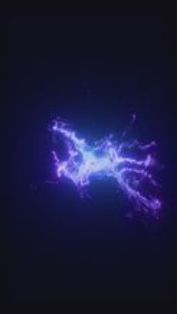 Raiders Unite: Feel the Vibe