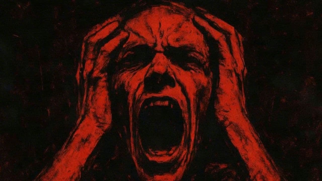 Image transform video