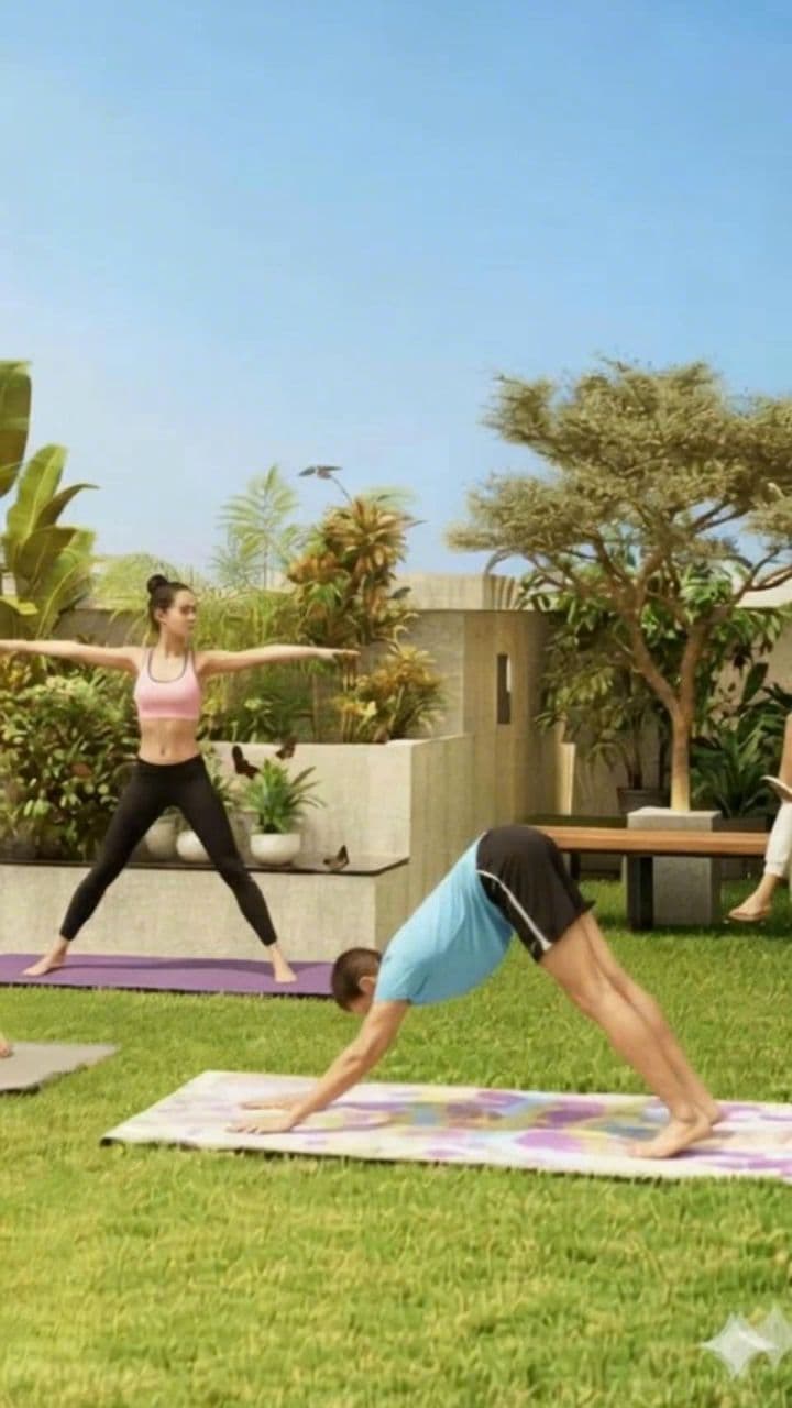 Image transform video