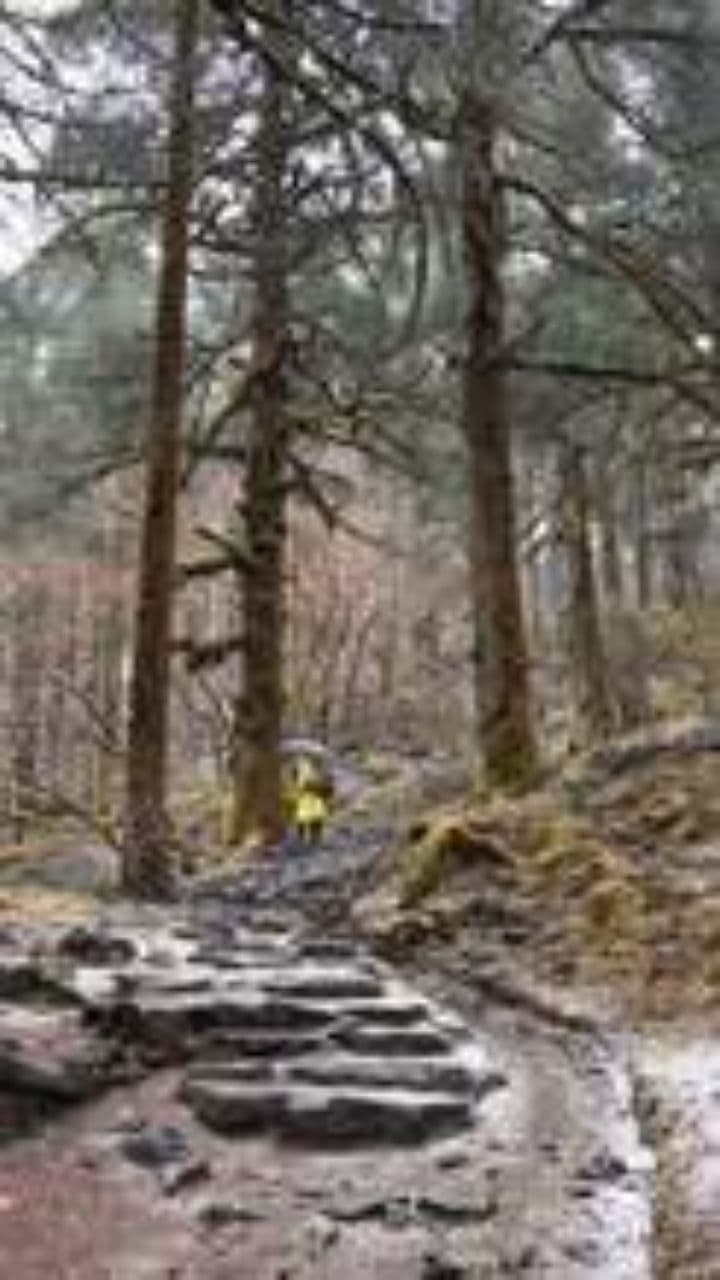 Ancient Slavic Awakening