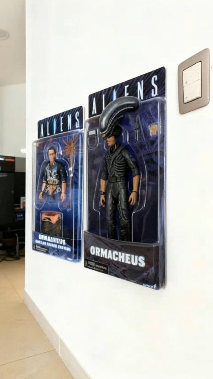 Image transform video