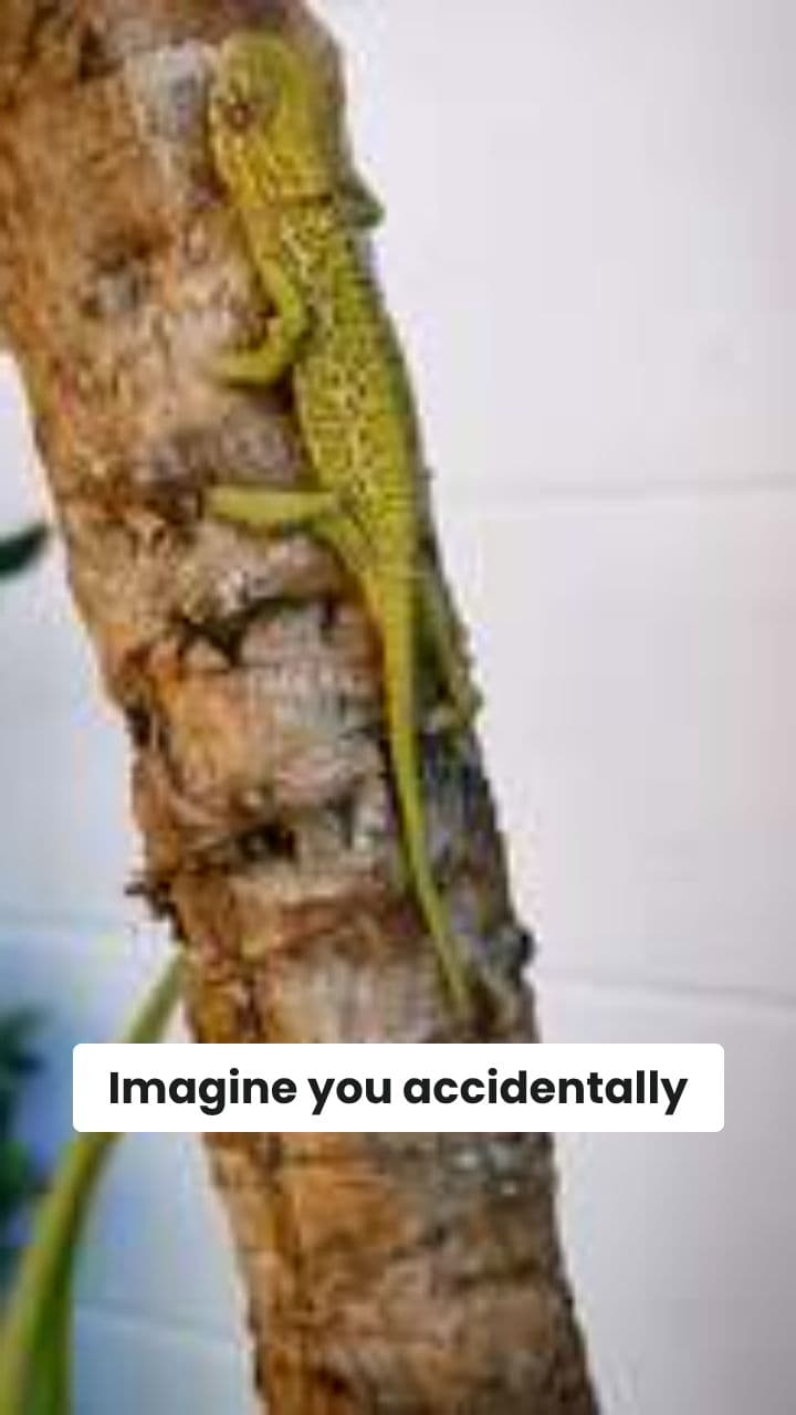 Swallowed a Lizard? Here's What to Know