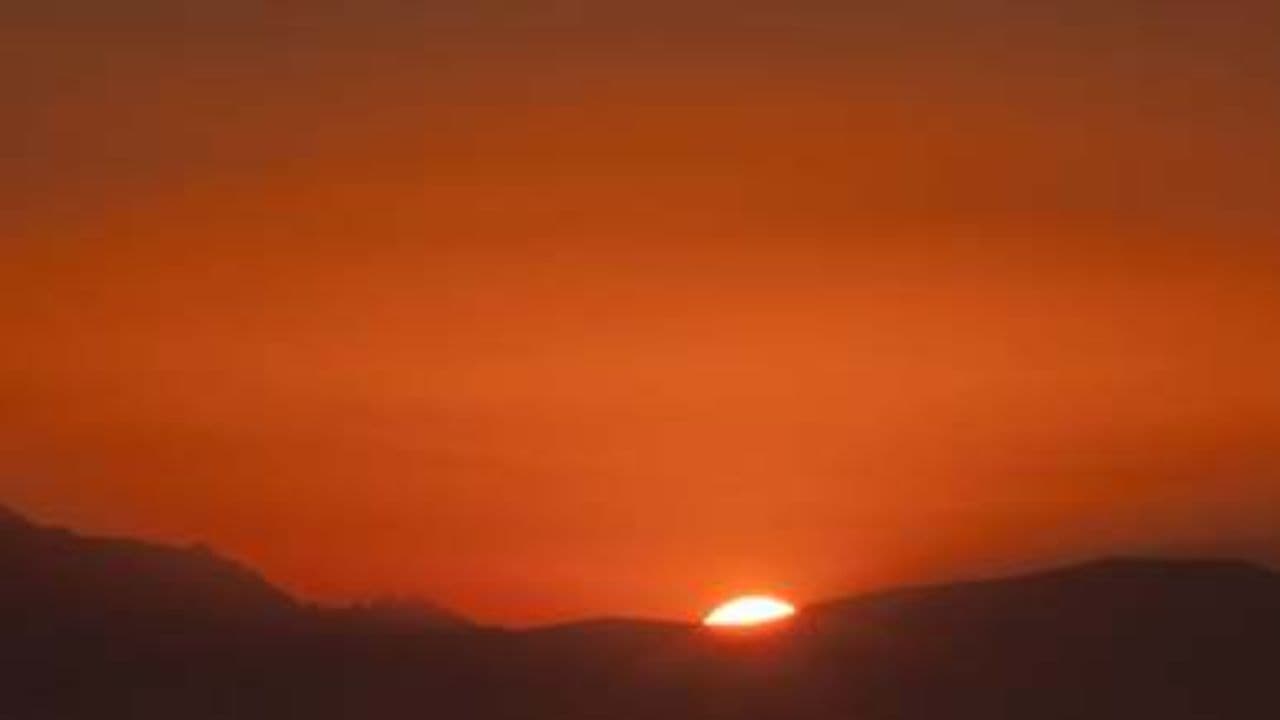 Happy Soulful Playful Life