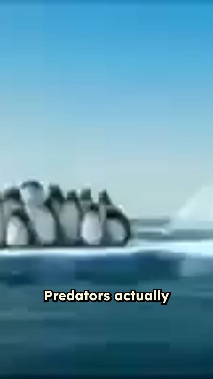 Cooperation Overcomes Predation