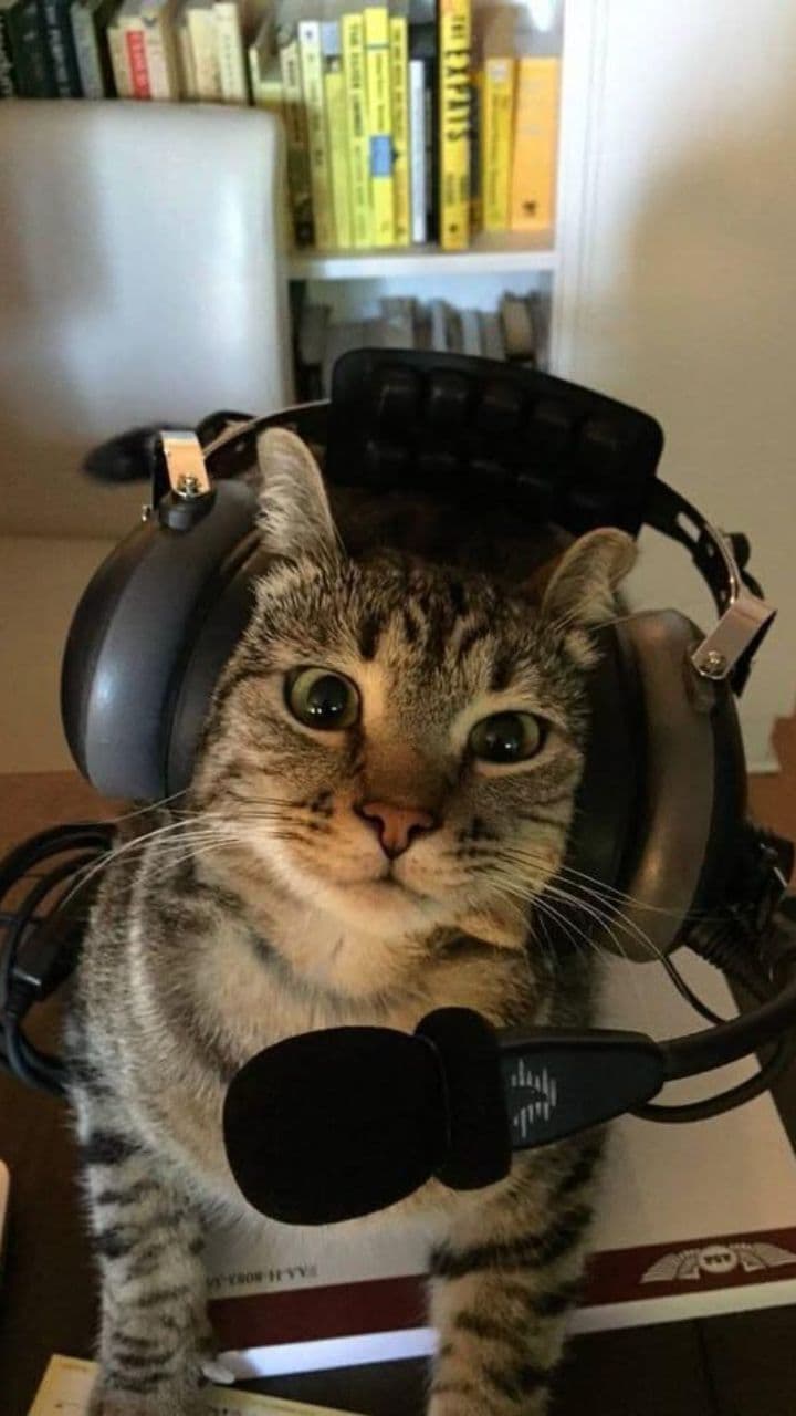 Educación inclusiva y atención a la diversidad