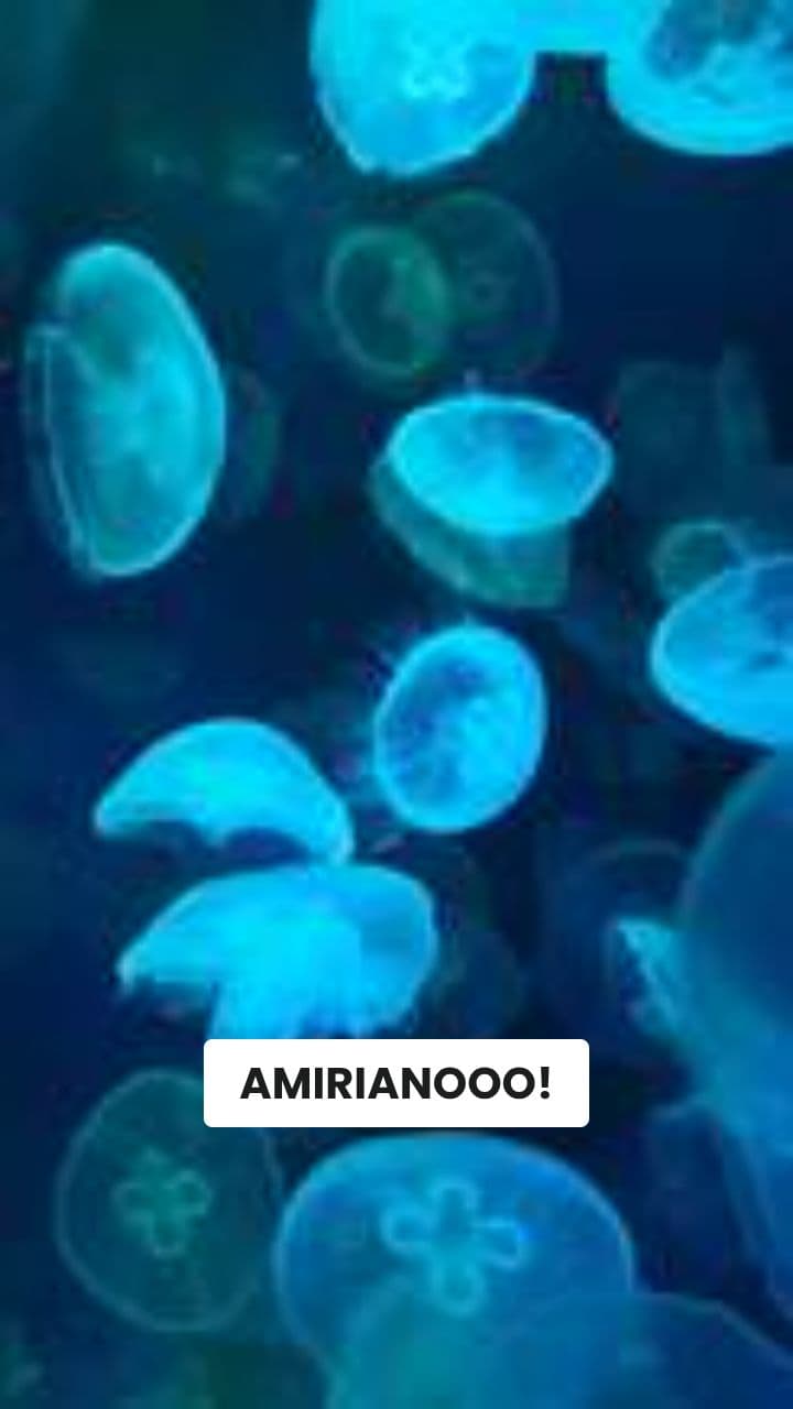 SqualoCano: Il Mistero Della Coca-Shark