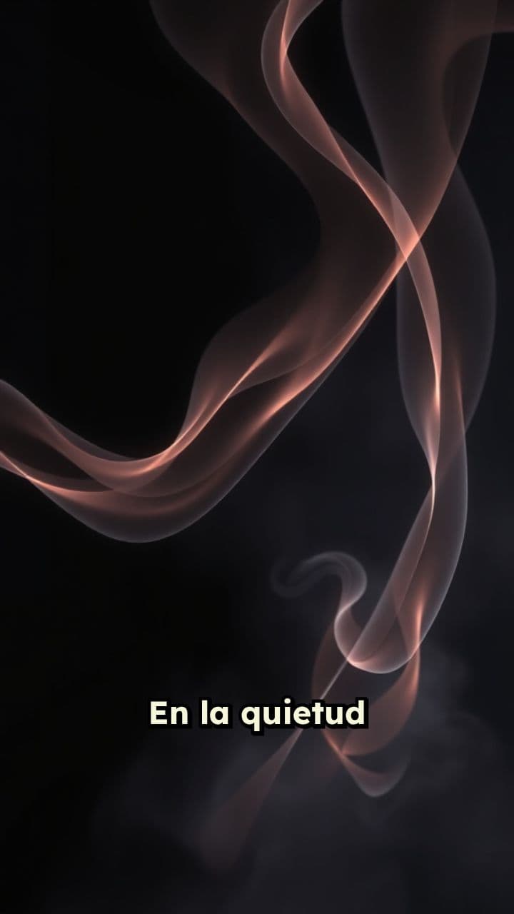 Danza de Luces y Neblina