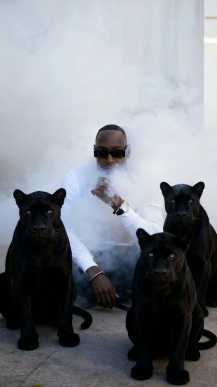 Image transform video