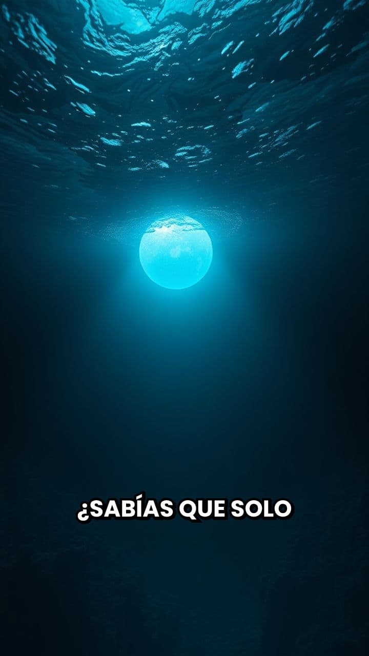 Datos sorprendentes del océano y el cerebro