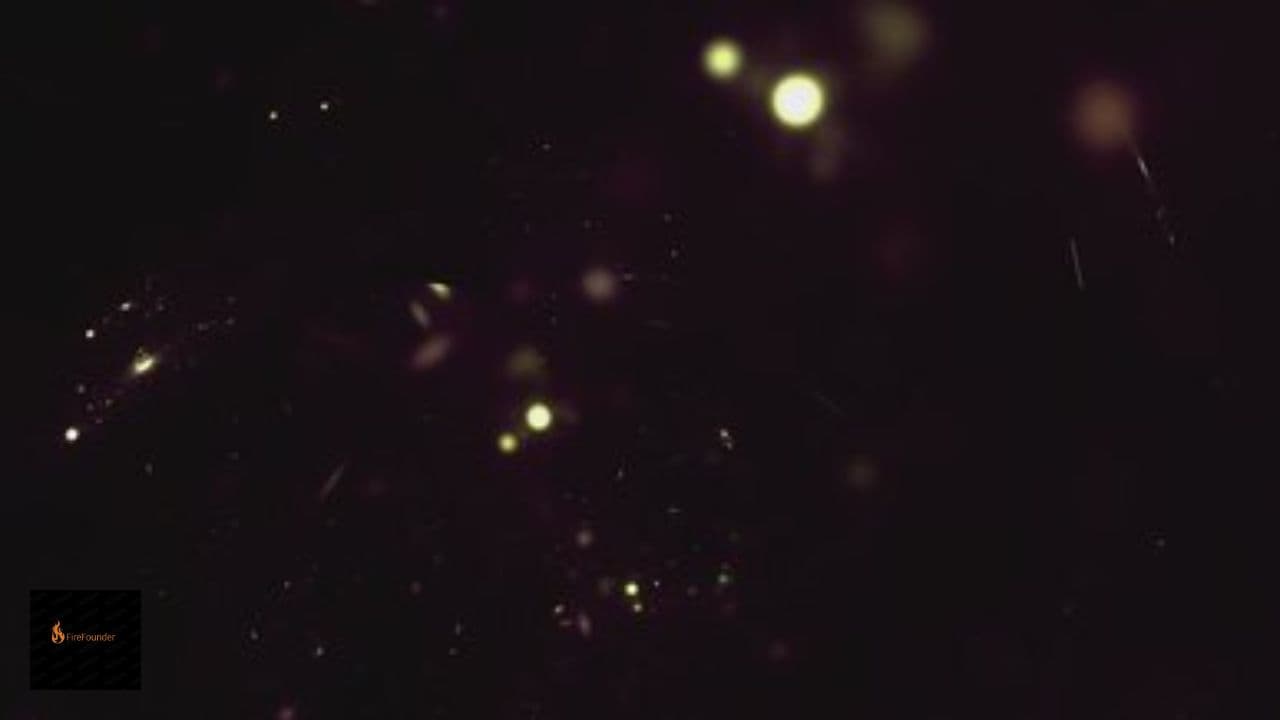 Dancing in the Flames