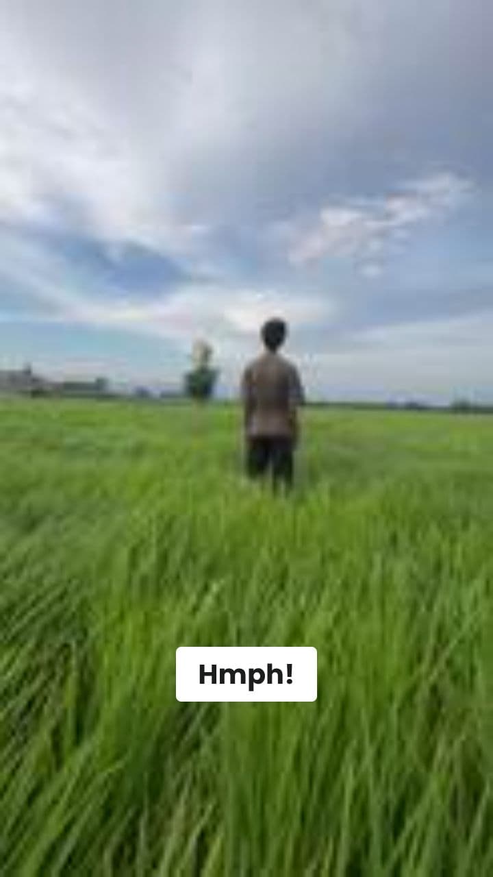 Il Villager Folle della ZucchinaPolpo