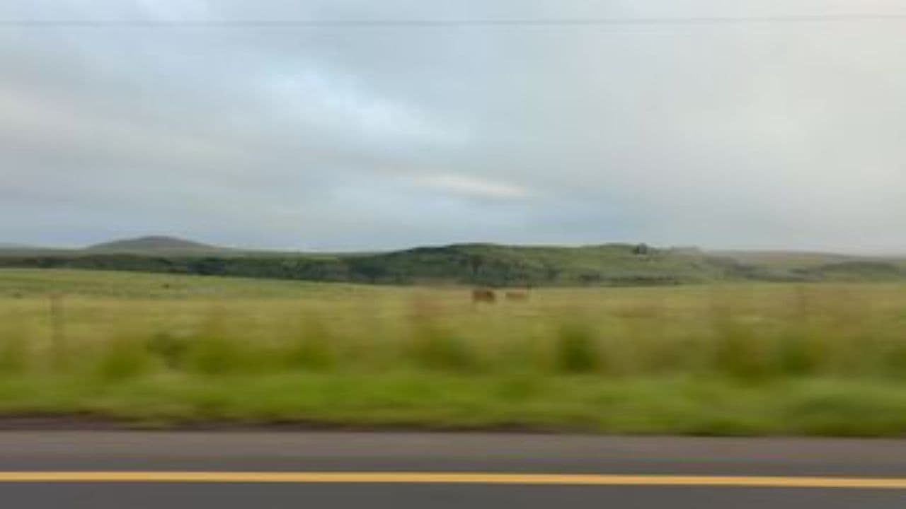 Дороги и воспоминания