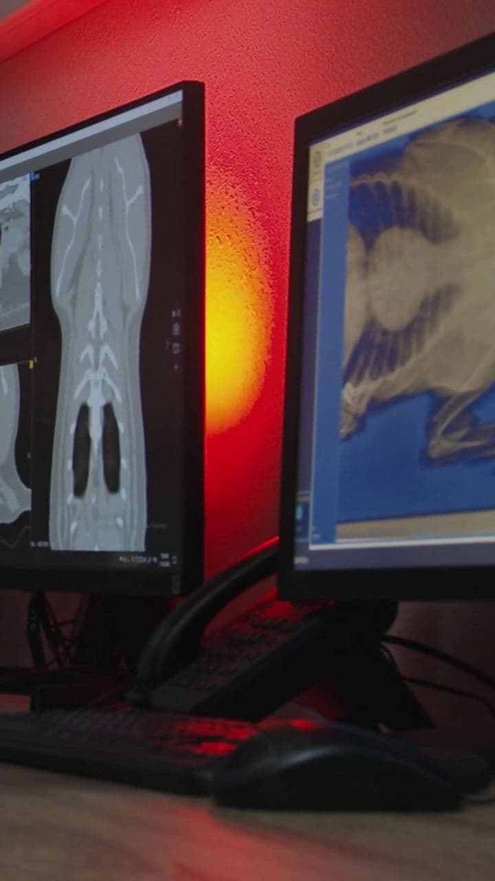 SecureDicom: Protect Your Medical Images