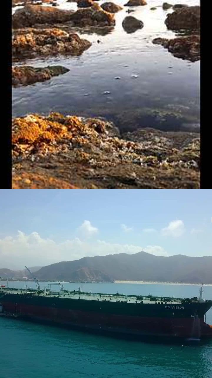 Logros de Colfletar y CTR Group