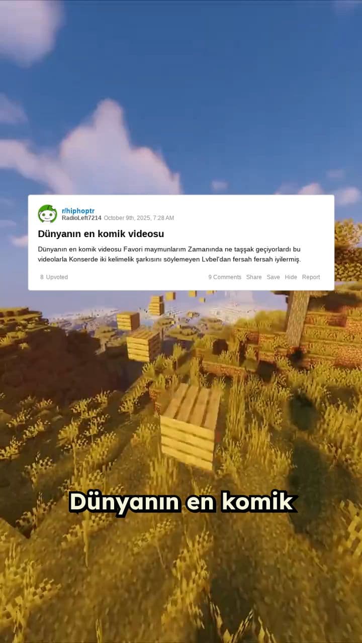 En Komik Maymun Videoları