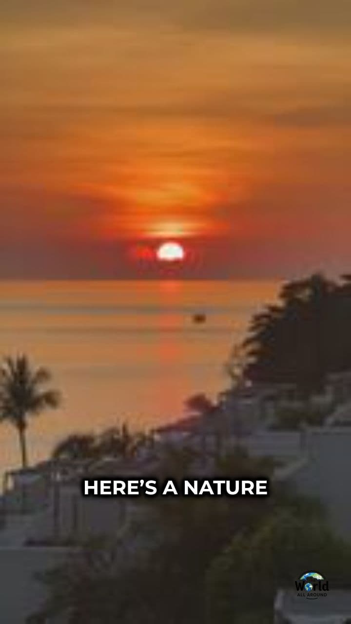 Glowing Ocean Waves Explained