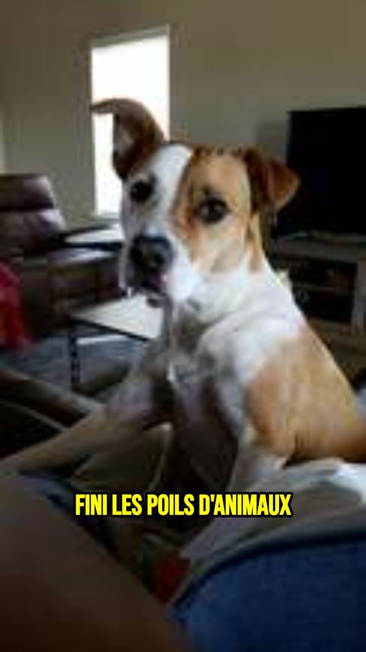 Peigne vapeur anti-poils rechargeable USB