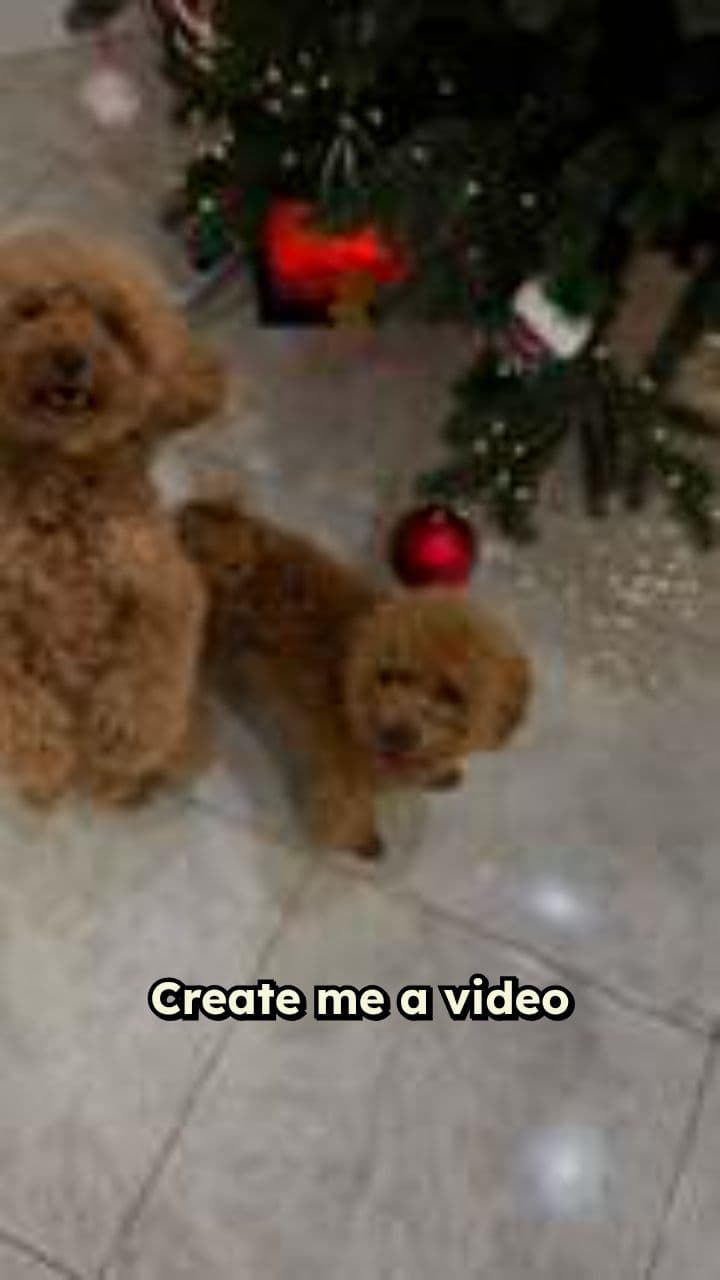 Dogs Sleeping Under the Christmas Tree