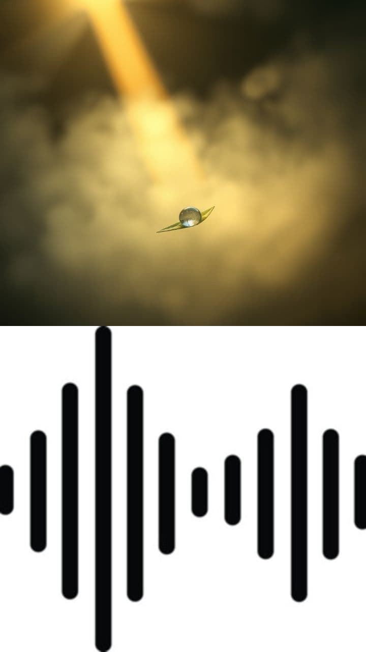 Диета — это временно