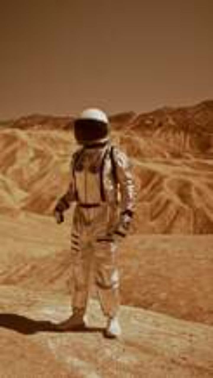 Echoes of a Fallen World