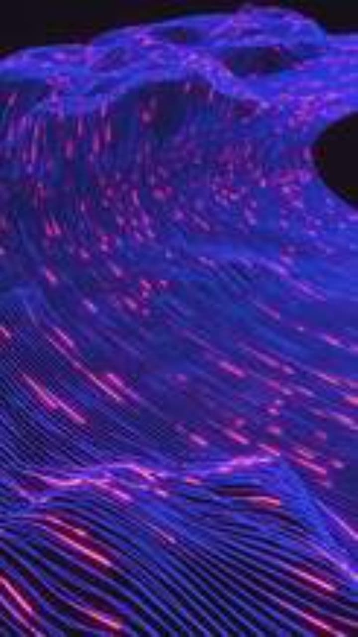 Geralda Number Four Anthem