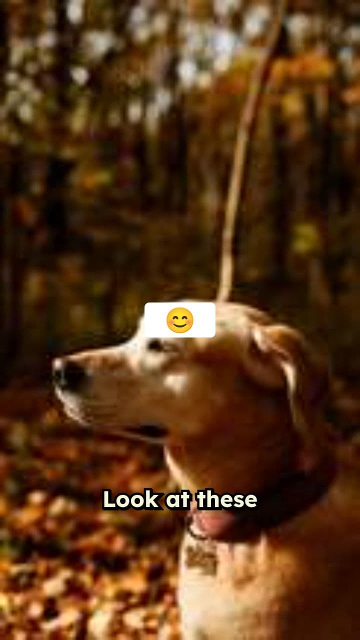 Nature's Cutest Moments!