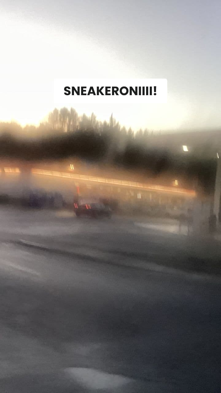 Squalo-Sneakeroni: Il Caos Circolare